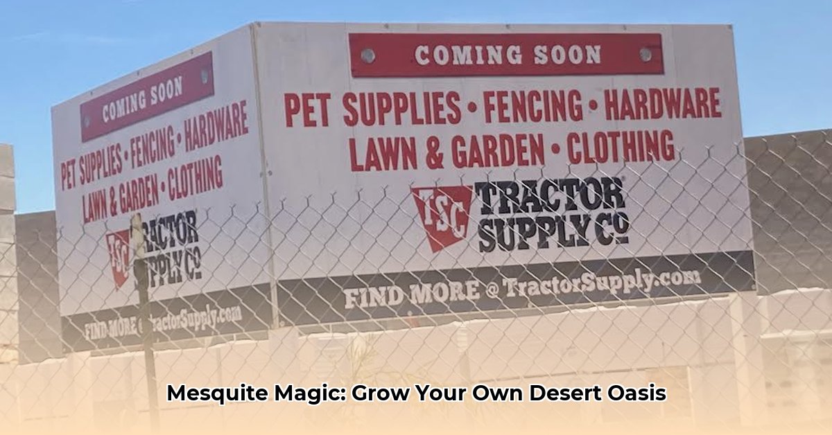 tractor-supply-mesquite-nevada